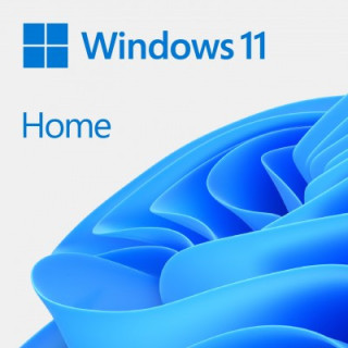 Microsoft Windows 11 Home ESD