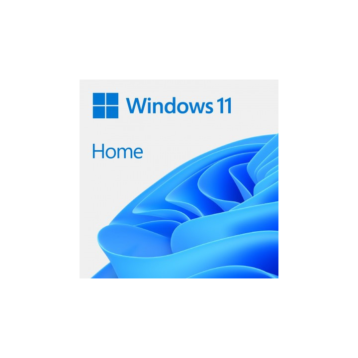 Microsoft Windows 11 Home ESD