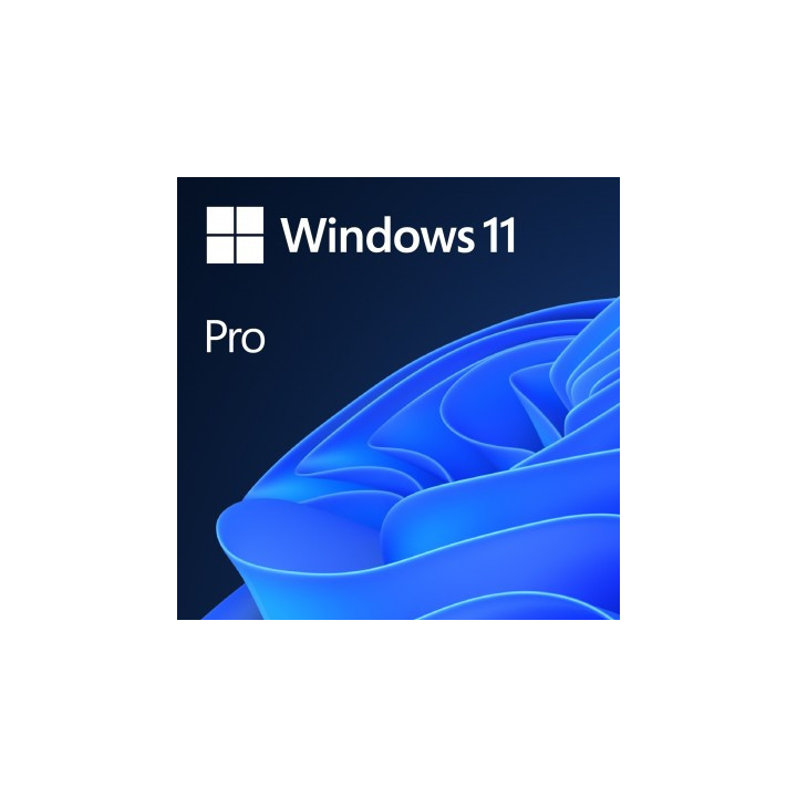 Microsoft Windows 11 Pro ESD